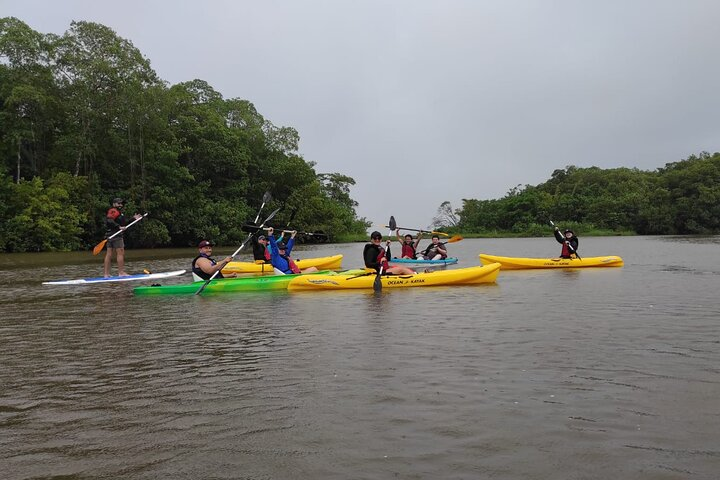  Kayaking Tour in Gandoca Lagoon throug mangrove forest - Photo 1 of 18